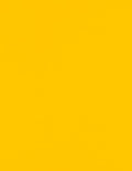 LUXPaper 8.5" x 11" Paper | Letter Size | Sunflower Yellow | 80lb. Text | 50 Qty