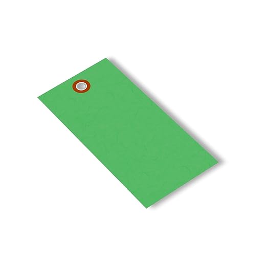 SmartSign (Pack of 100) 4.75 x 2.375 inch “Green” Blank Tyvek Shipping Tags with Metal Eyelets, Size #5, 8 mil Thick Tyvek, Made in USA