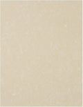 LUXPaper 8.5" x 11" Paper | Letter Size | Cream Parchment | 60lb. Text | 250 Qty