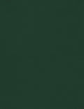 LUXPaper 8.5" x 11" Cardstock | Letter Size | Green Linen | 100lb. Cover (183lb. Text) | 250 Qty