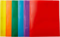 Amazon Basics Heavy Duty Plastic Folders with 2 Pockets for Letter Size Paper, Assorted Colors, Pack of 6