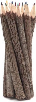 BSIRI Bark 7 Inch Colors Pencils Set Assorted-Stick Twig of Wood Pencils Outdoor Colored Wooden Pencil Tree for Child Camping Decorations Color Wood, Color Pencils for Adult Wedding Decorations