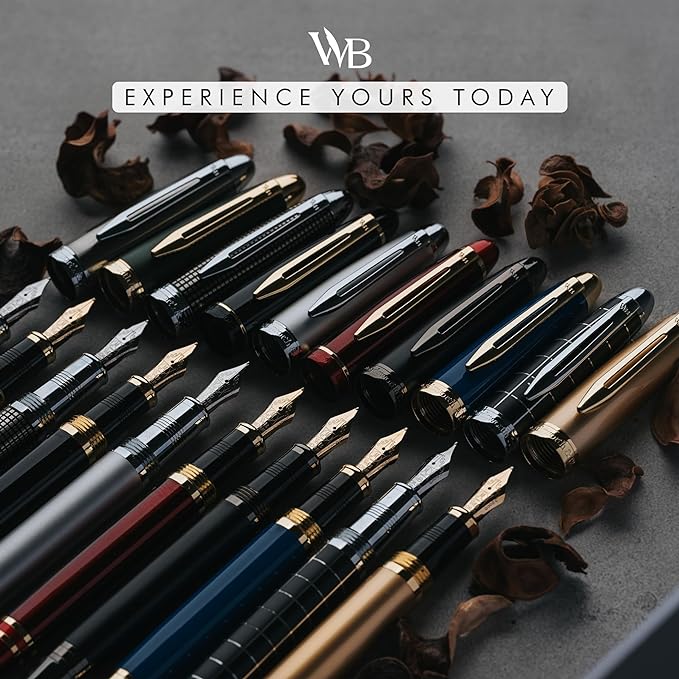 Wordsworth & Black Majesti Fountain Pen-(Silver), Luxury Case, 24K Gold Finish; 18K Gilded Medium Nib- Ink Cartridges, Refillable Ink Converter-Calligraphy Pen-Best Business Gift Set for Men & Women