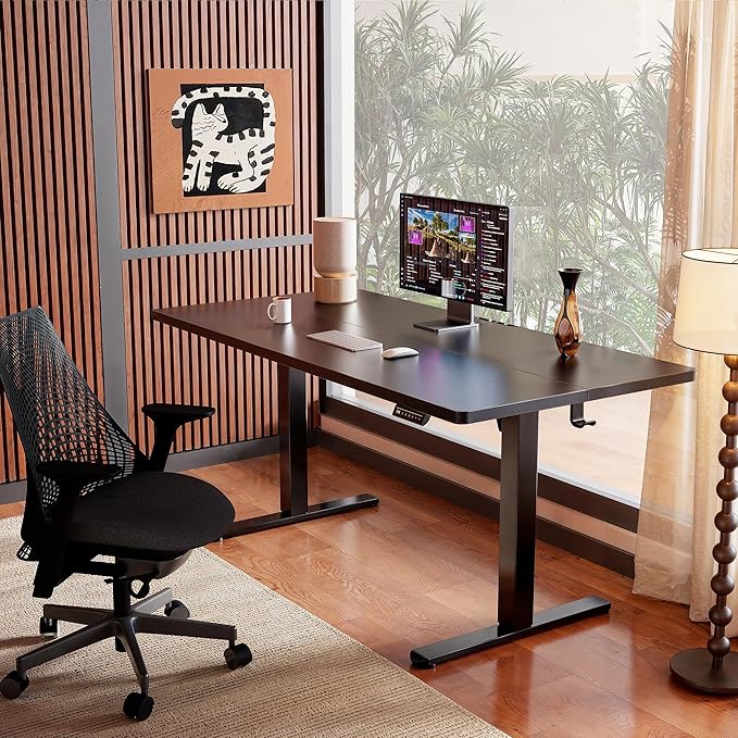 ErGear Height Adjustable Electric Standing Desk, 47.2 x 23.6 Inches Sit Stand up Desk, Memory Computer Home Office Desk (Black)